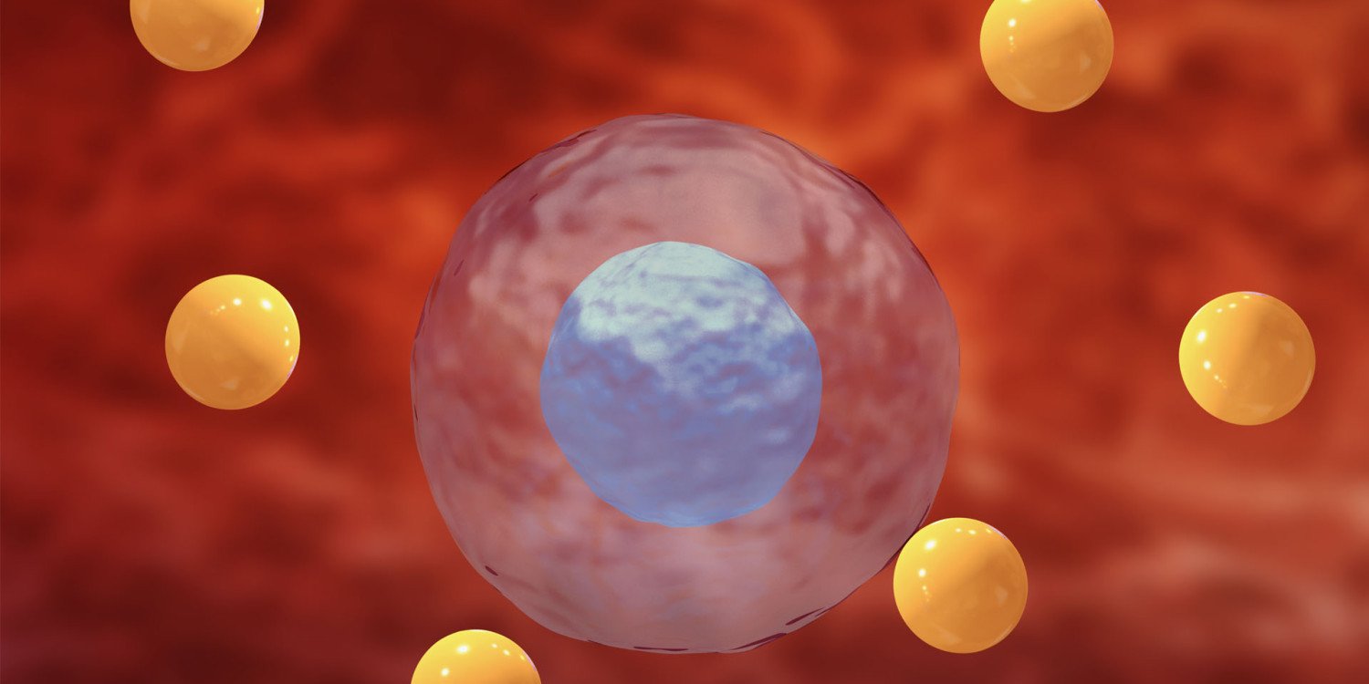 Oksidatif Stres Analizleri - Otto Bilimsel