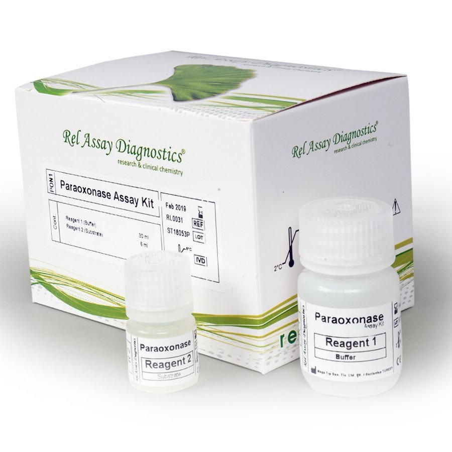 Paraoxonase-1 (Pon-1) Enzim Aktivite Test Kiti - Otto Bilimsel
